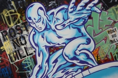 84x126in_320x214cm_SilverSurfer_2016_S-copy