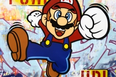 SuperMario_220x220x2013-copy-2